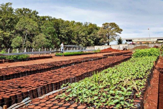 Compensação ambiental eia rima